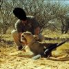 Hunting In Africa