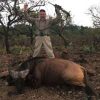 Trans African Exotic Trophy Hunting